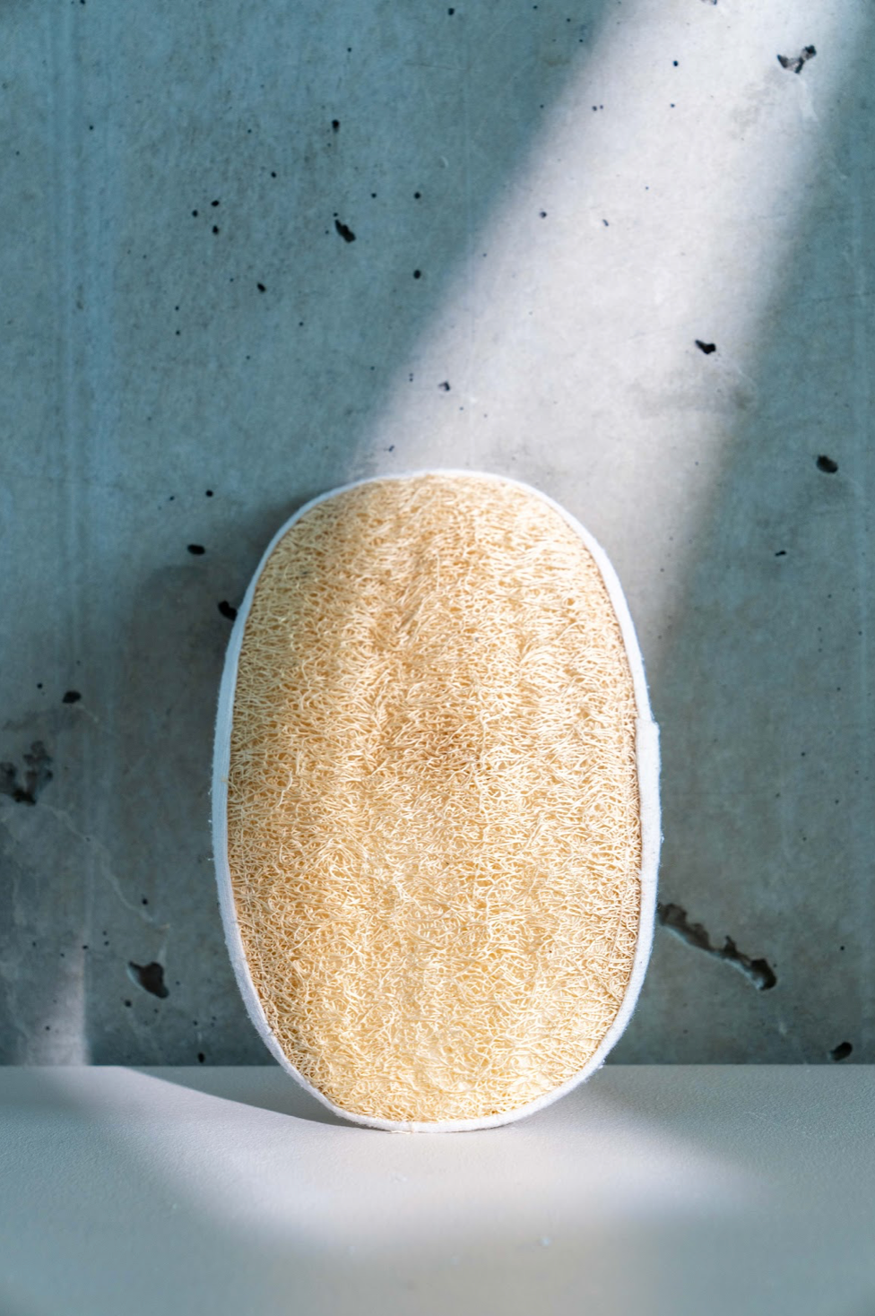 Body Sponge Pad